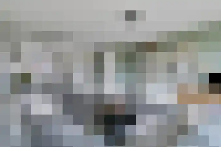 De Hoeve 52 Beek en Donk thumbnail 13