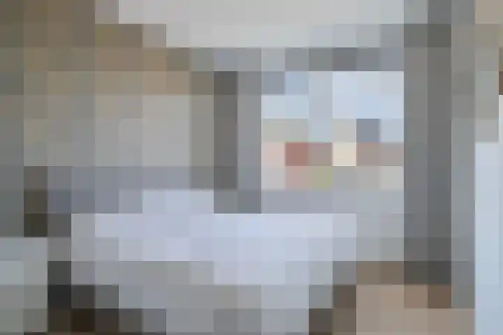 De Hoeve 52 Beek en Donk thumbnail 20