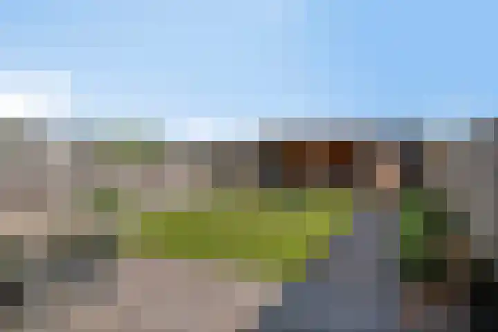 De Hoeve 52 Beek en Donk thumbnail 33
