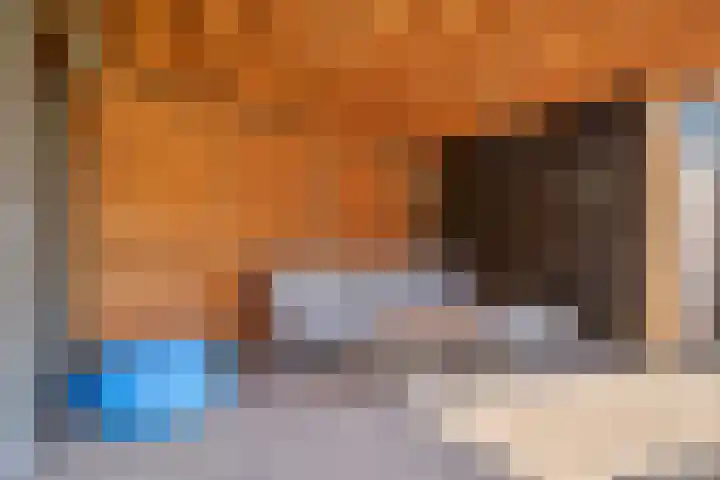 De Hoeve 52 Beek en Donk thumbnail 35
