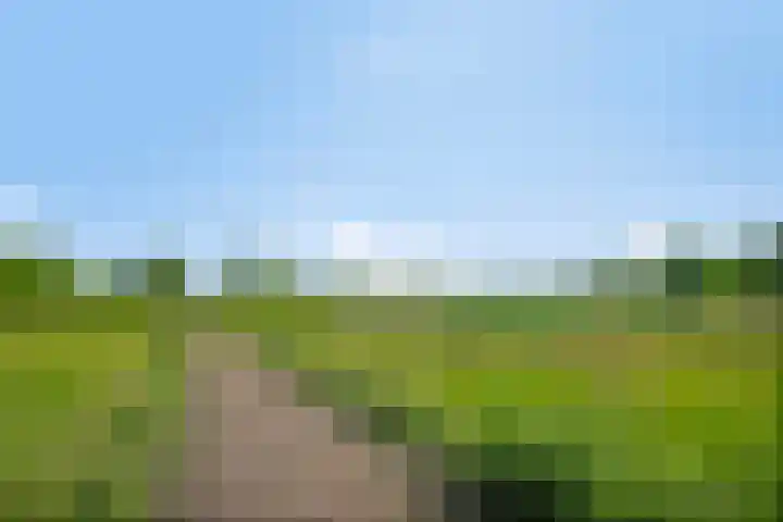 De Hoeve 52 Beek en Donk thumbnail 38
