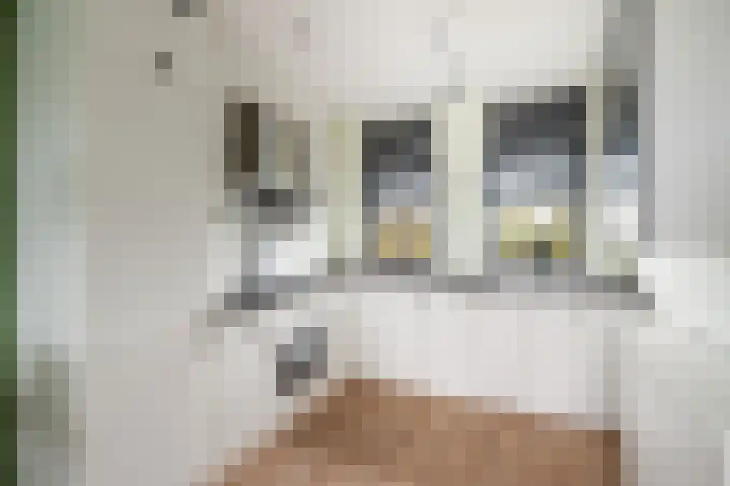 De Hoeve 7 Goudriaan thumbnail 13