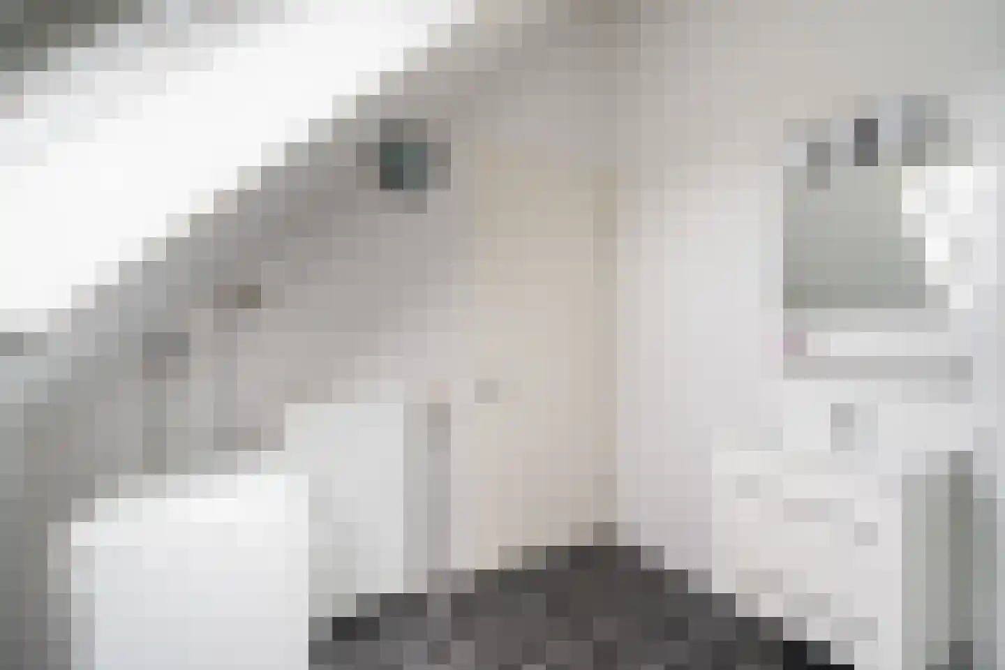 De Hoeve 7 Goudriaan thumbnail 23
