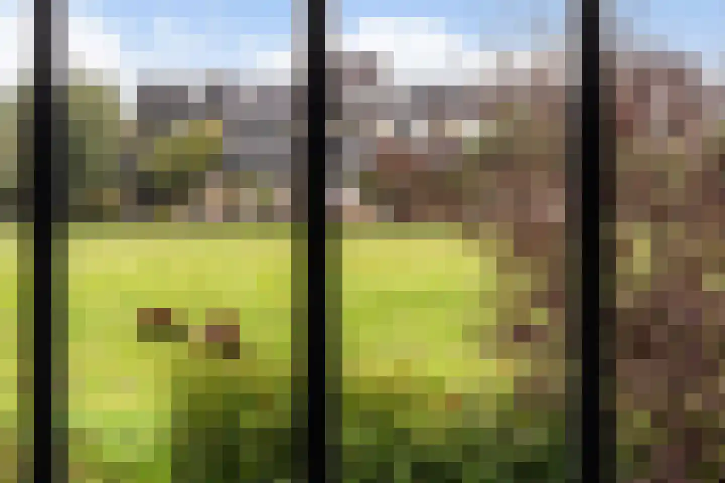 De Hoeve 7 Goudriaan thumbnail 26