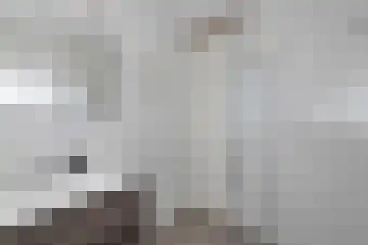 De Hoeve 8 Beek en Donk thumbnail 24