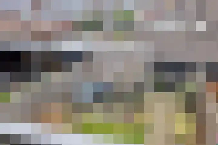 De Hoeve 8 Beek en Donk thumbnail 33