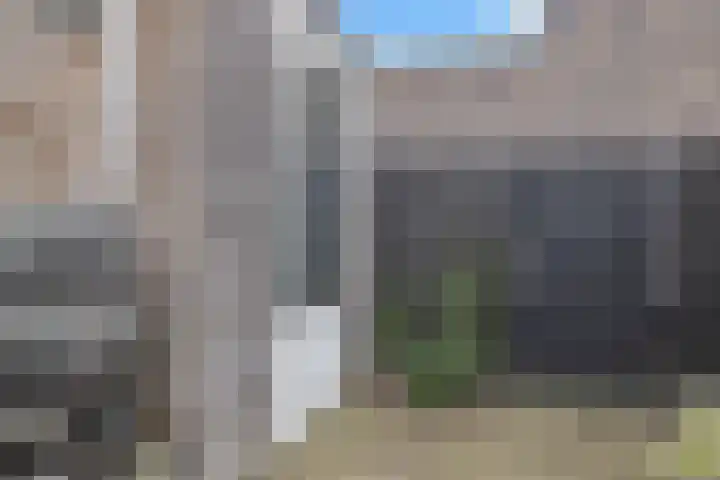 De Hoeve 8 Beek en Donk thumbnail 43