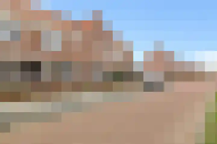 De Hoeve 8 Beek en Donk thumbnail 8