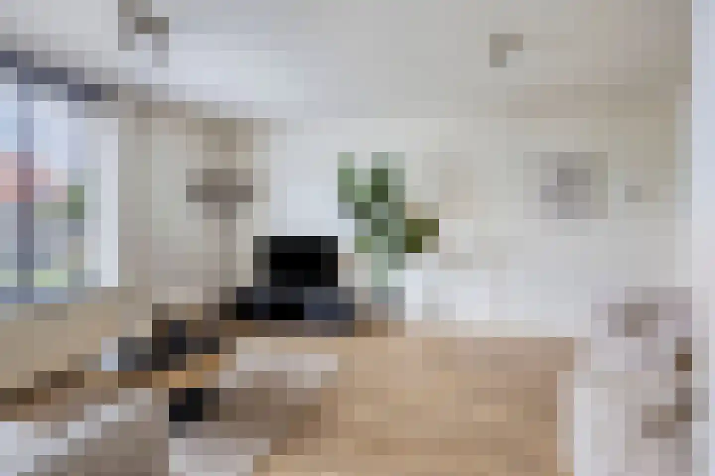 De Hoeven 17 Haarsteeg thumbnail 17