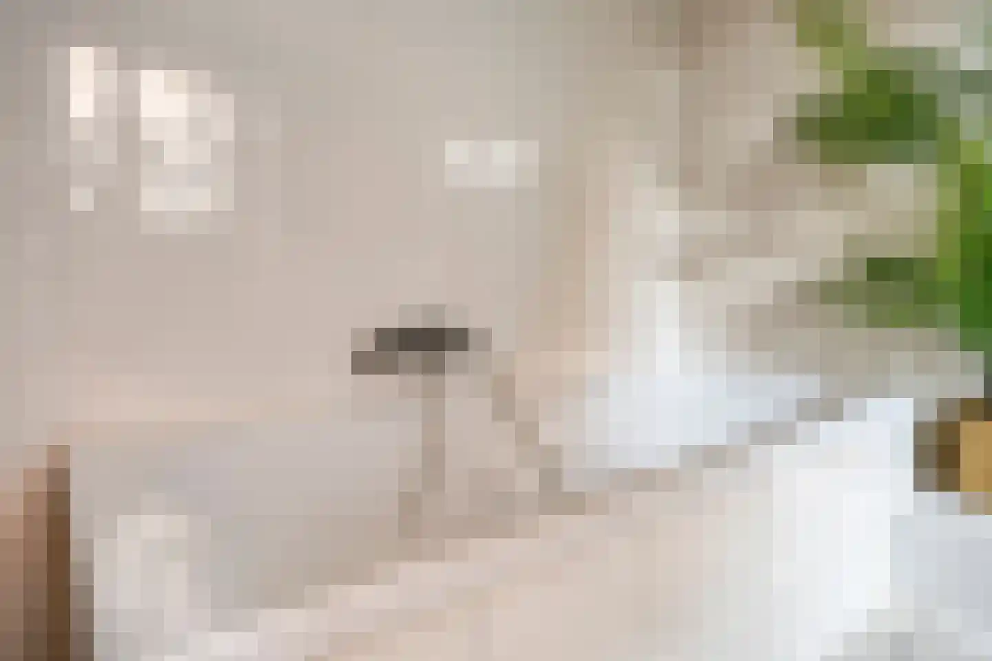 De Hoeven 17 Haarsteeg thumbnail 25