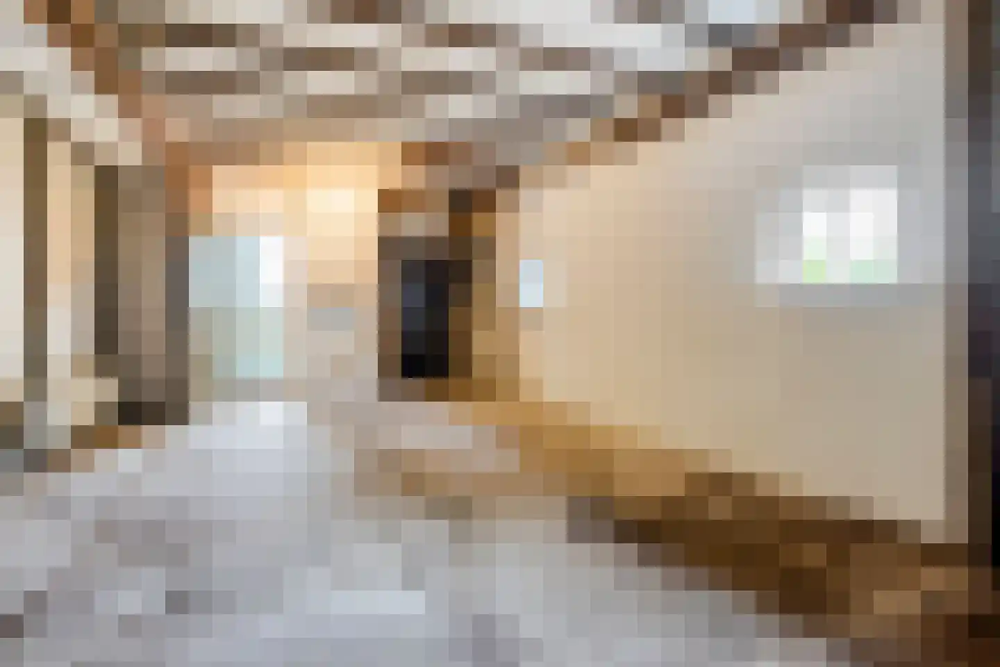 De Hoeven 17 Haarsteeg thumbnail 29