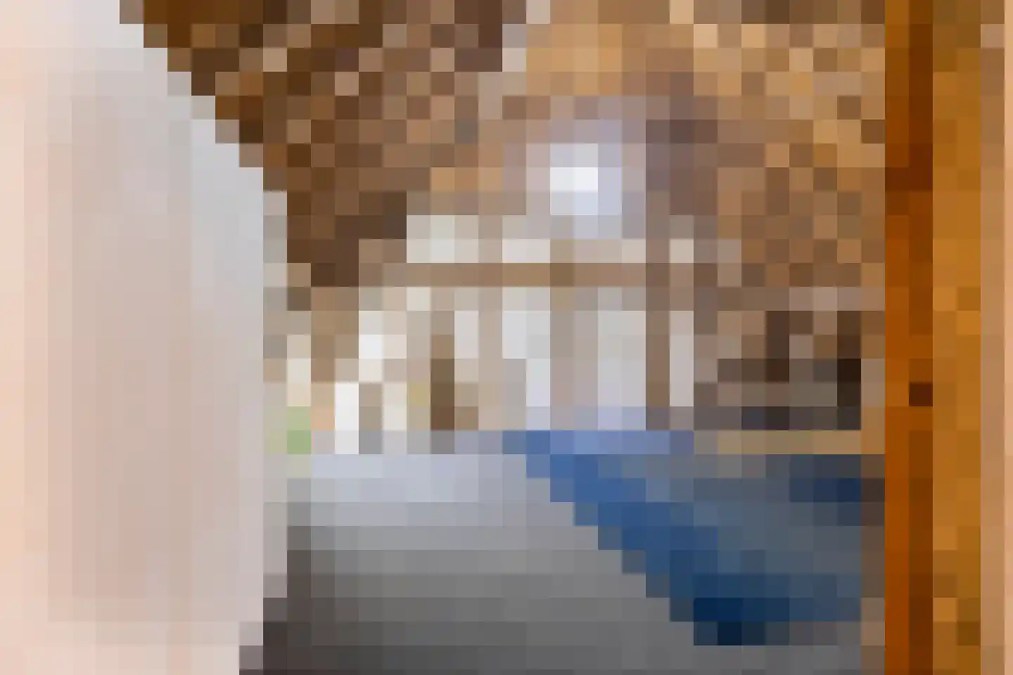 De Hoeven 17 Haarsteeg thumbnail 38