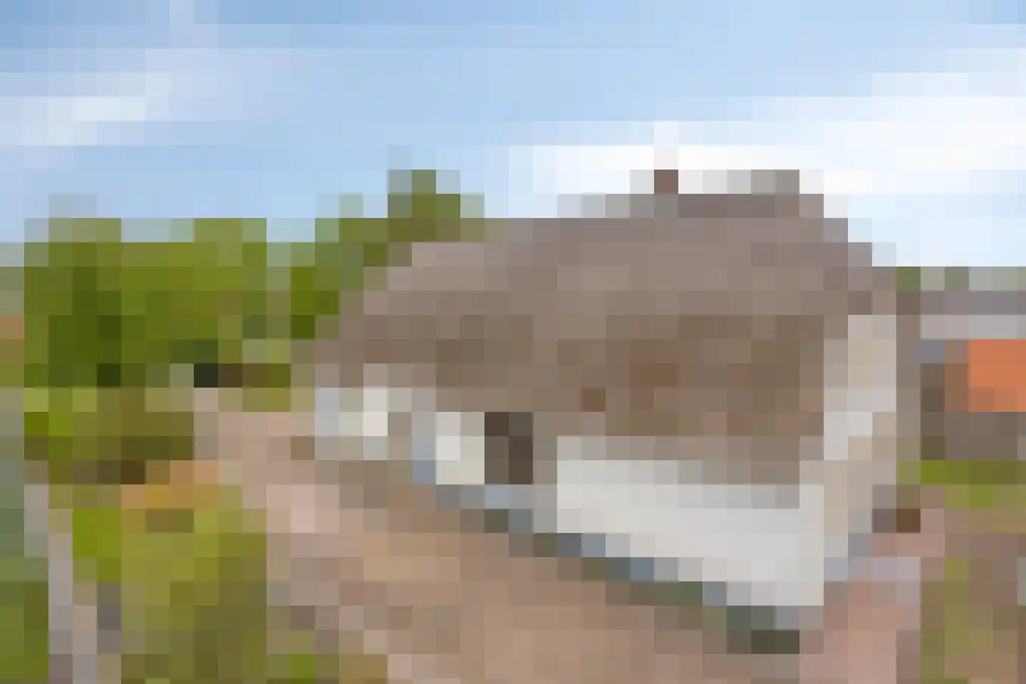 De Hoeven 17 Haarsteeg thumbnail 40