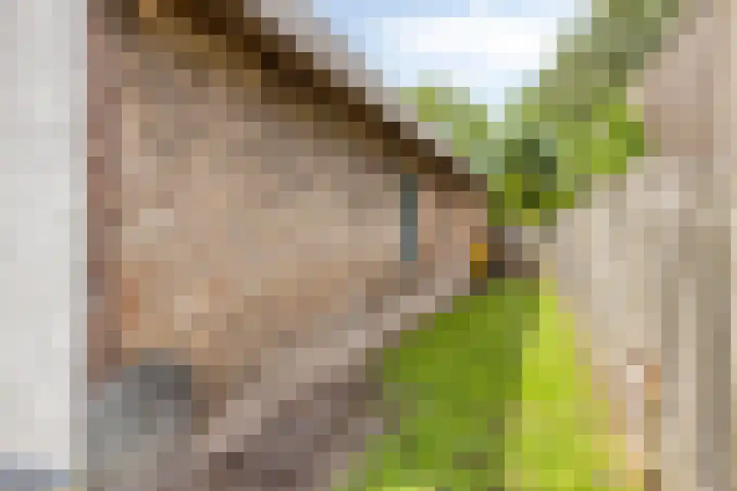 De Hoeven 17 Haarsteeg thumbnail 43