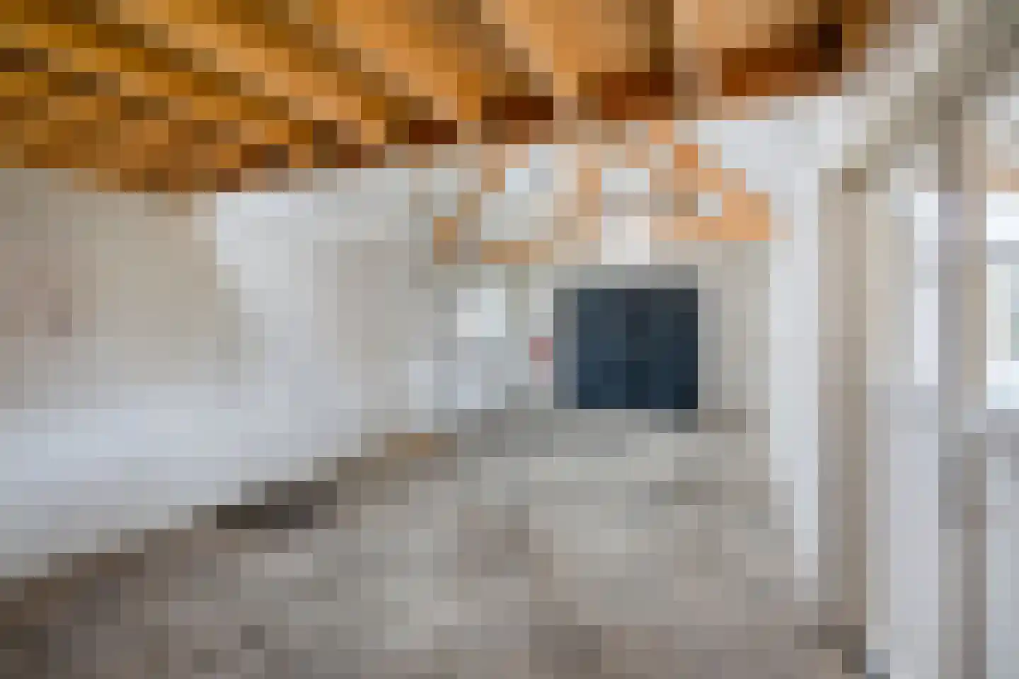 De Hoeven 17 Haarsteeg thumbnail 45