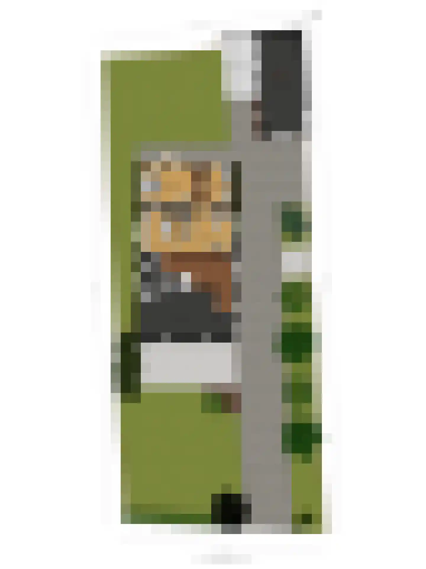 De Hoeven 17 Haarsteeg thumbnail 52