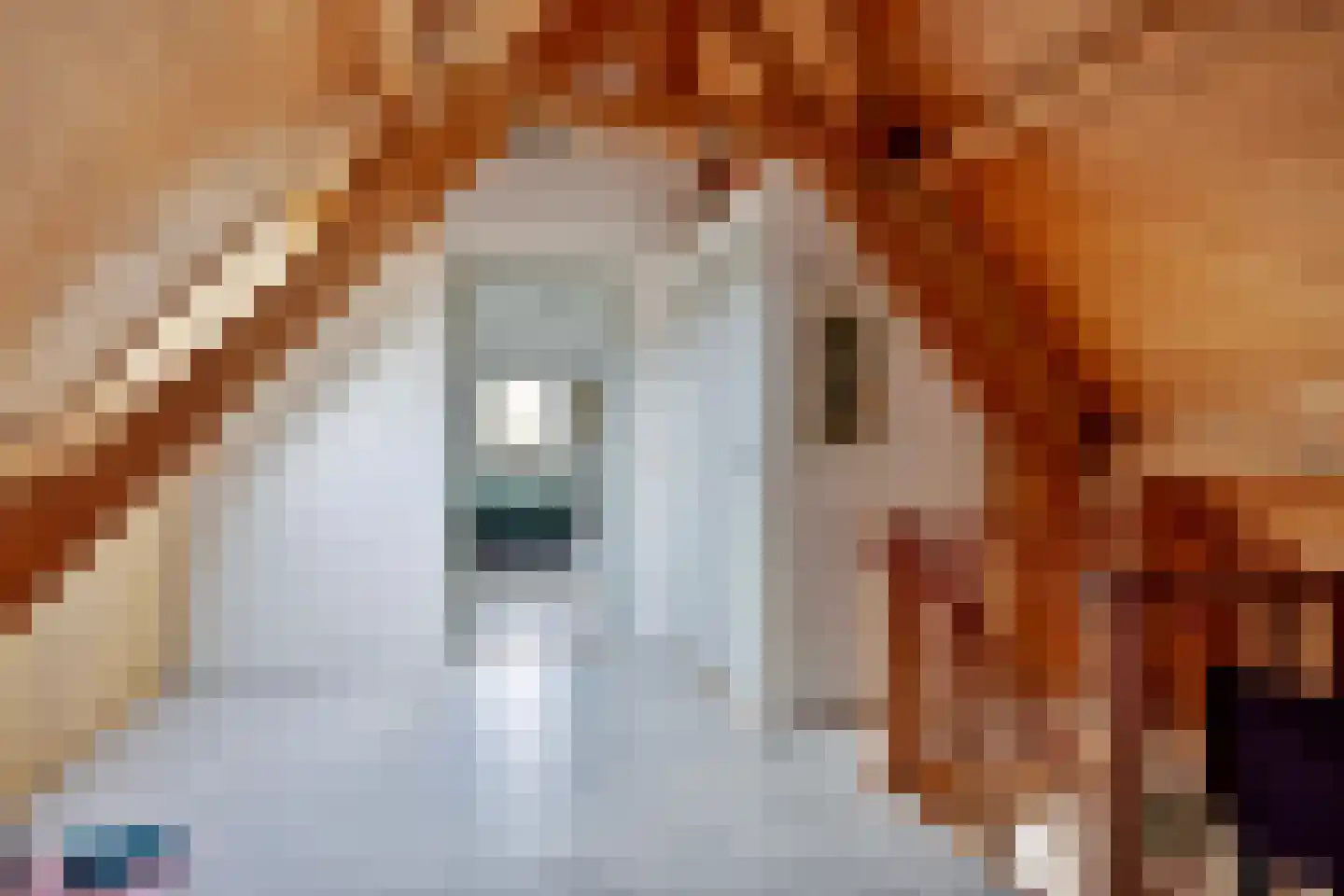 De Hoeven 18 Haarsteeg thumbnail 17