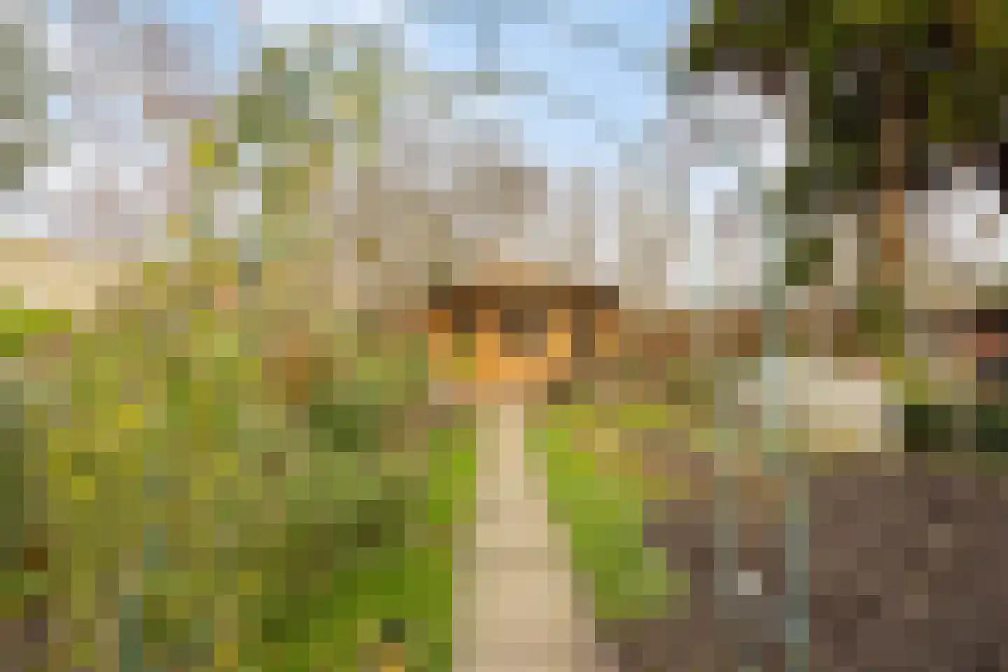 De Hoeven 18 Haarsteeg thumbnail 24