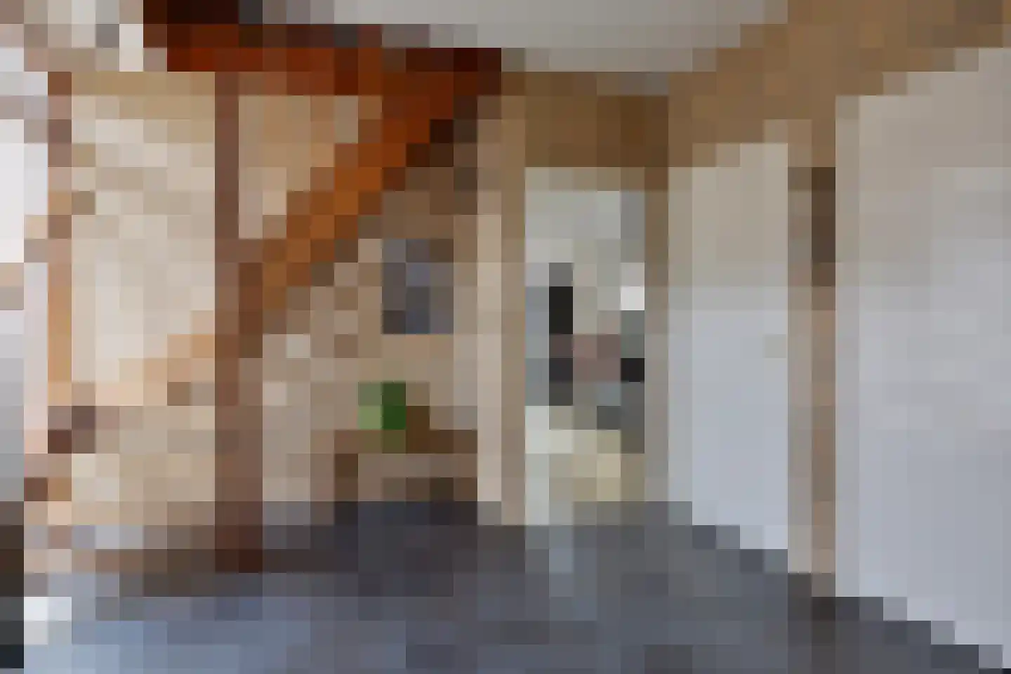 De Hoeven 18 Haarsteeg thumbnail 5