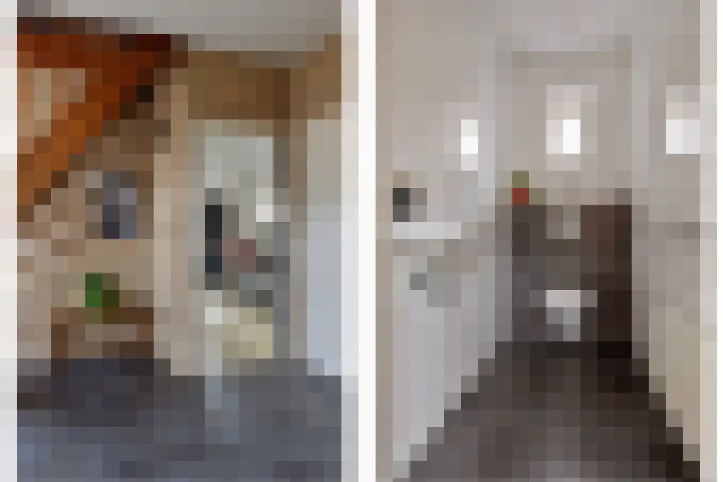 De Hoeven 18 Haarsteeg thumbnail 6