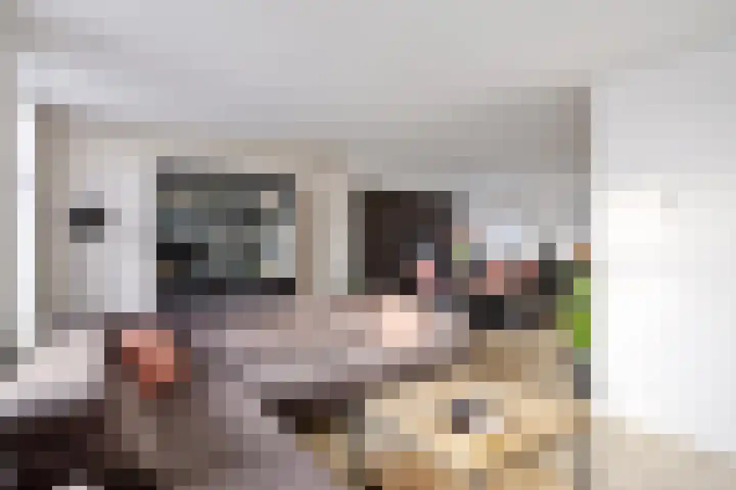 De Hoeven 18 Haarsteeg thumbnail 8
