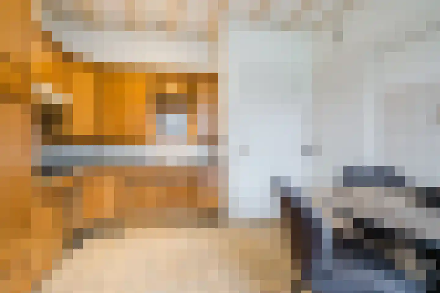 De Hoeven 2 Hapert thumbnail 16