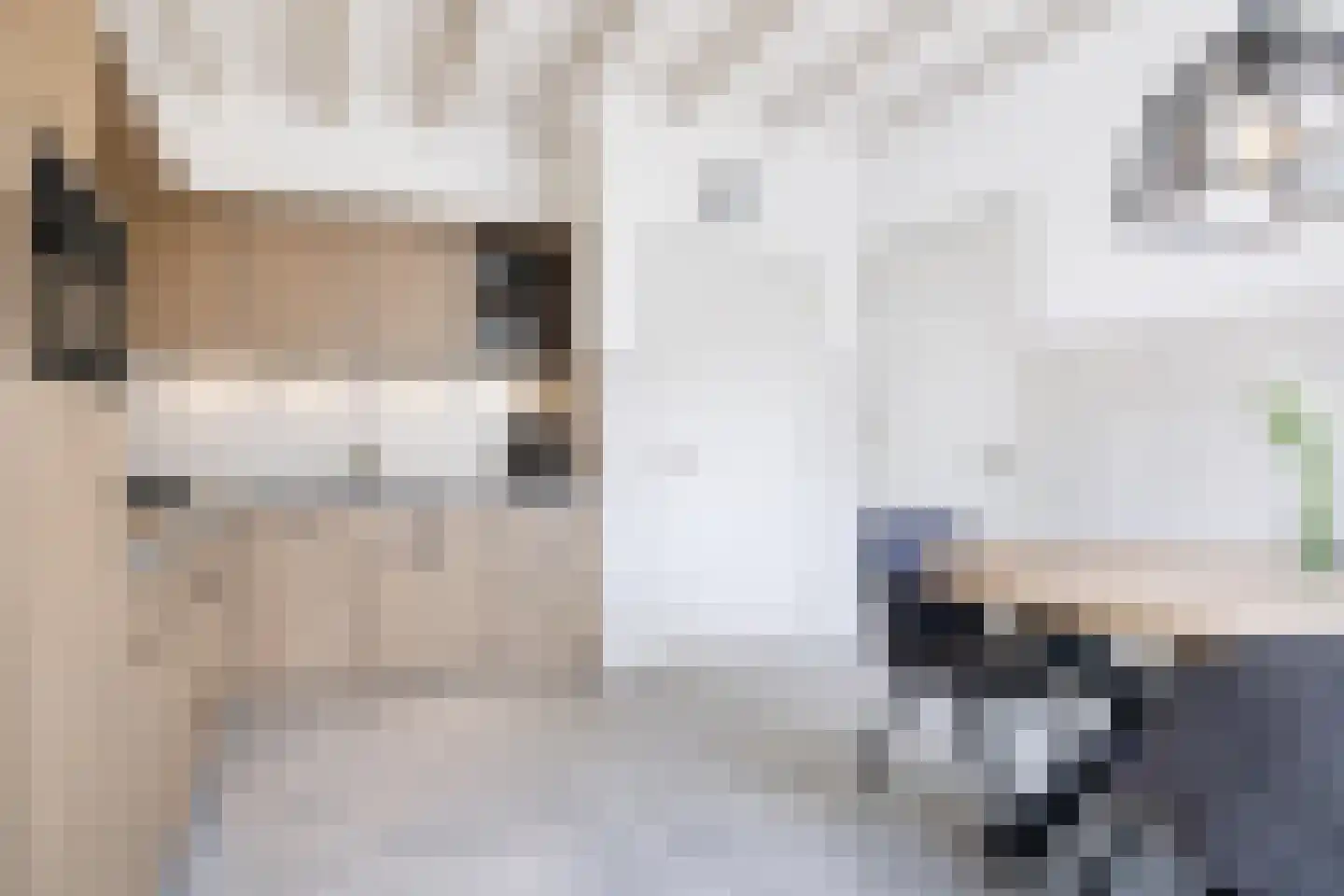 De Hoeven 2 Hapert thumbnail 17