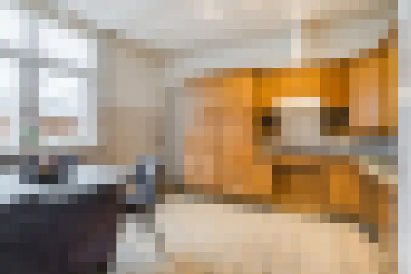 De Hoeven 2 Hapert thumbnail 18
