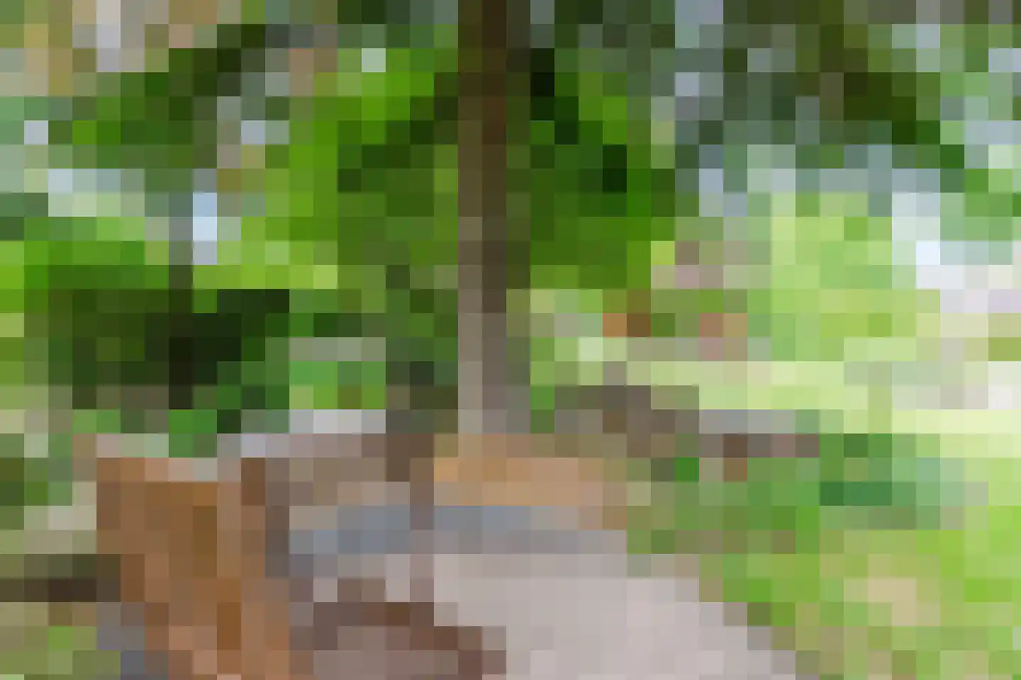 De Hoeven 2 Hapert thumbnail 43