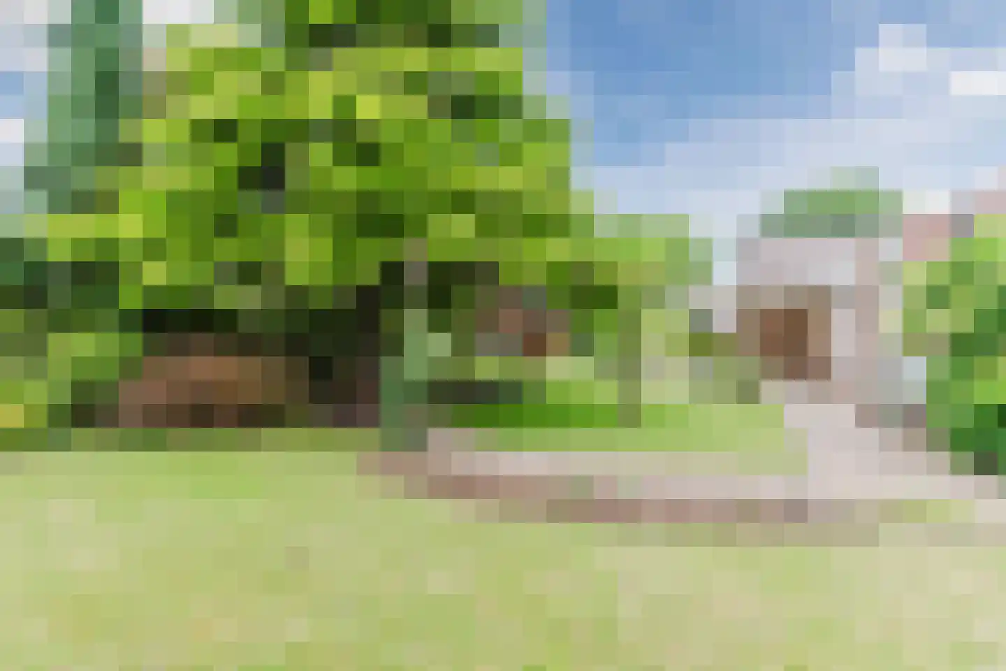 De Hoeven 2 Hapert thumbnail 44