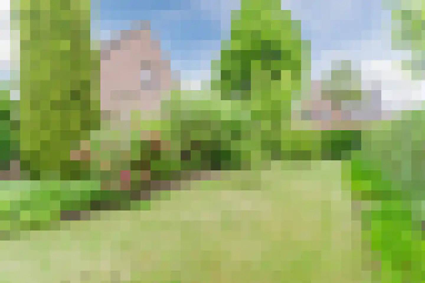 De Hoeven 2 Hapert thumbnail 46