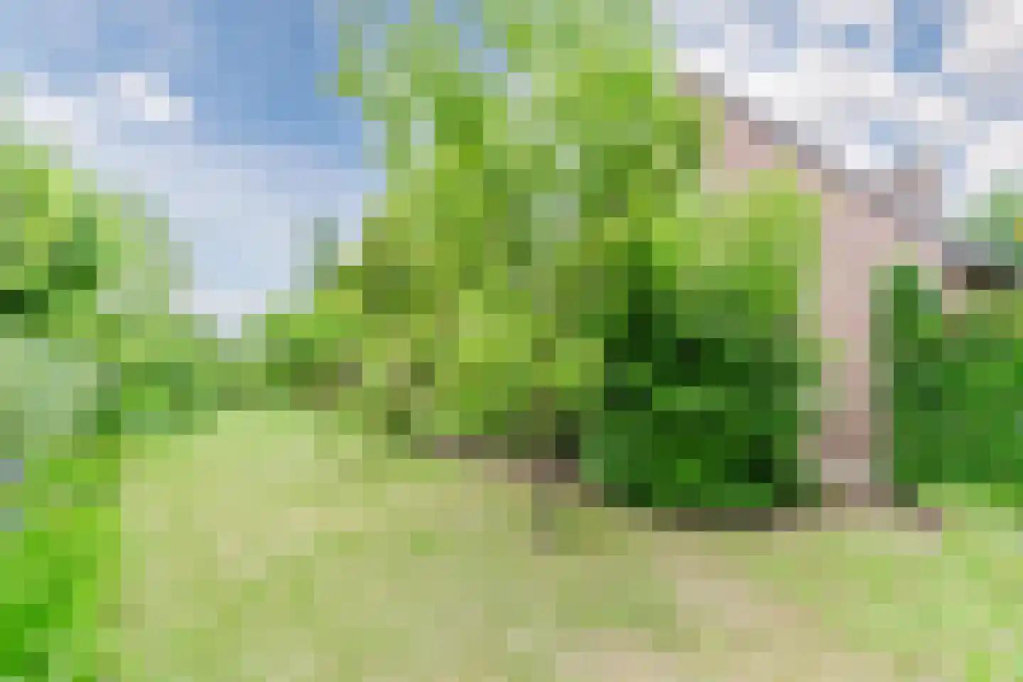 De Hoeven 2 Hapert thumbnail 47