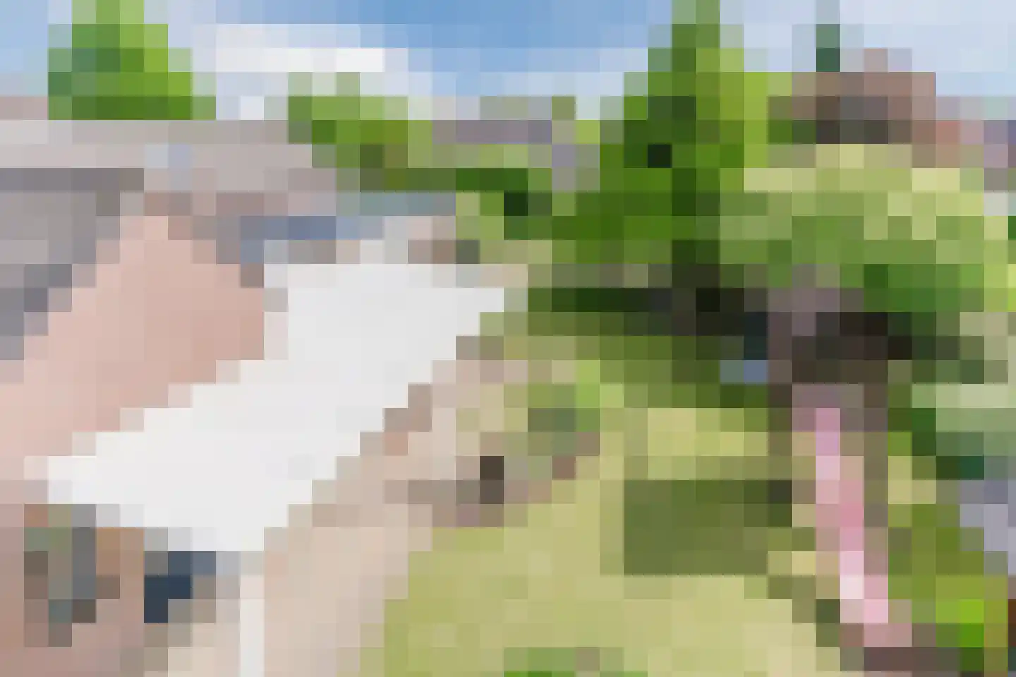 De Hoeven 2 Hapert thumbnail 49