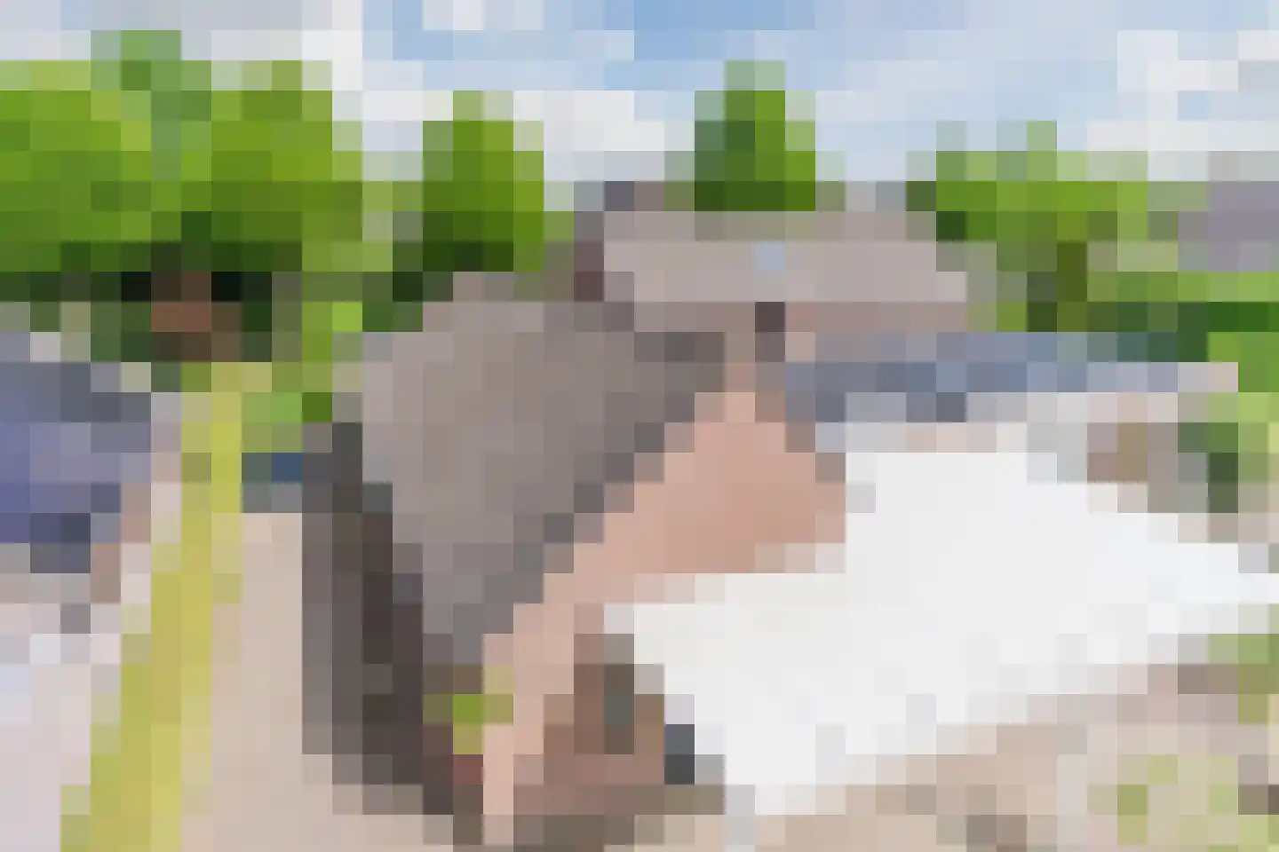 De Hoeven 2 Hapert thumbnail 50