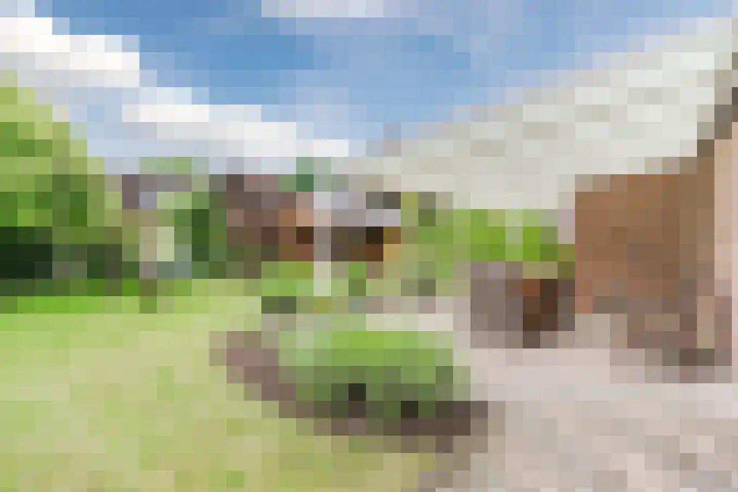 De Hoeven 2 Hapert thumbnail 9