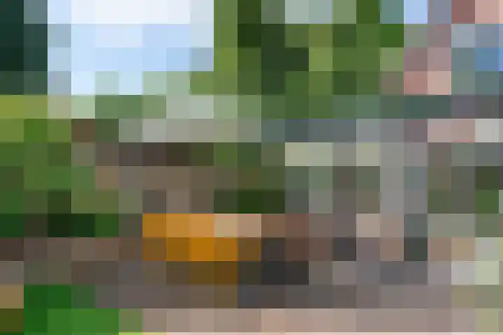 De Hoeven 20 Druten thumbnail 15
