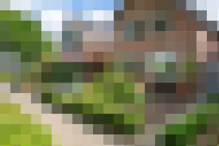 De Hoeven 20 Druten thumbnail 37