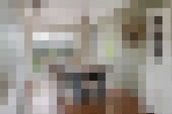 De Hoeven 20 Druten thumbnail 9