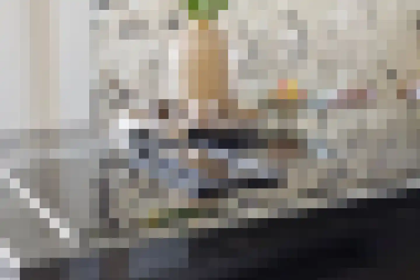 De Hoeven 33 Haarsteeg thumbnail 17