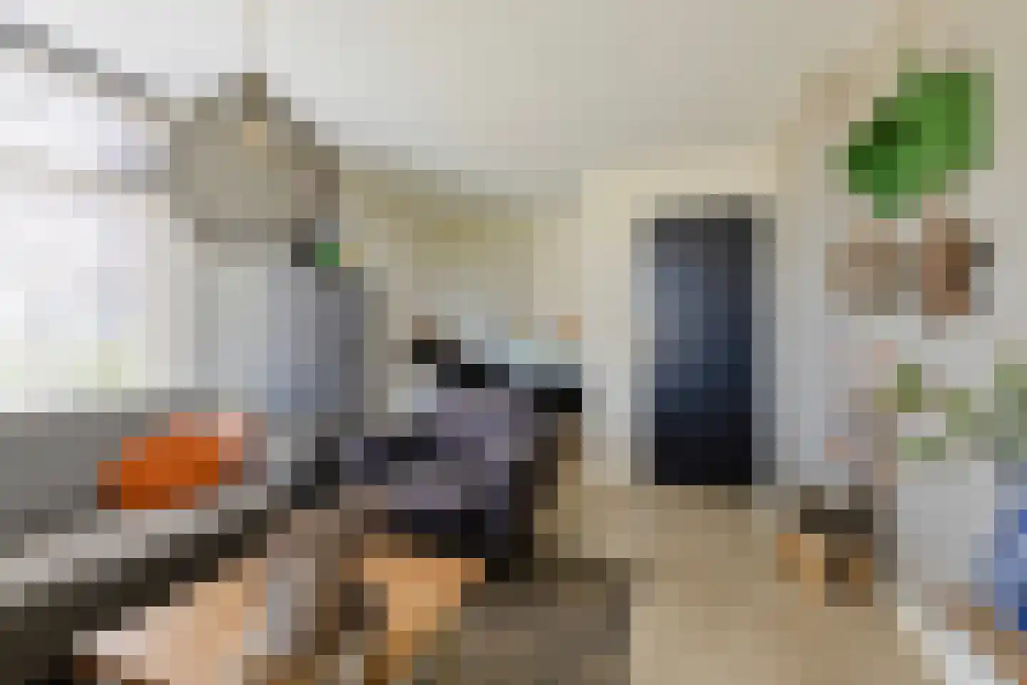 De Hoeven 33 Haarsteeg thumbnail 19