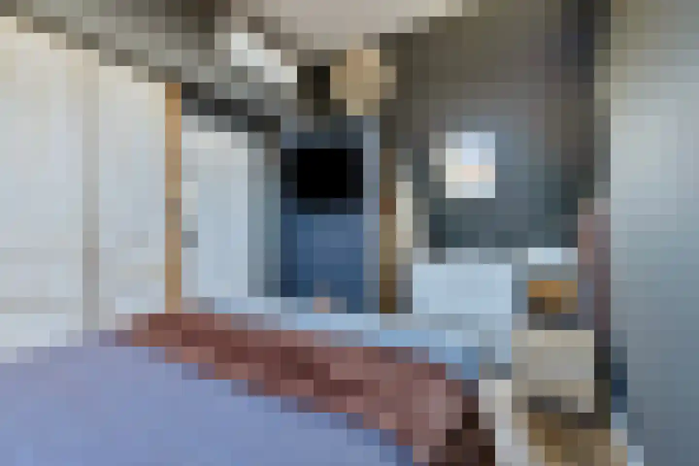 De Hoeven 33 Haarsteeg thumbnail 27