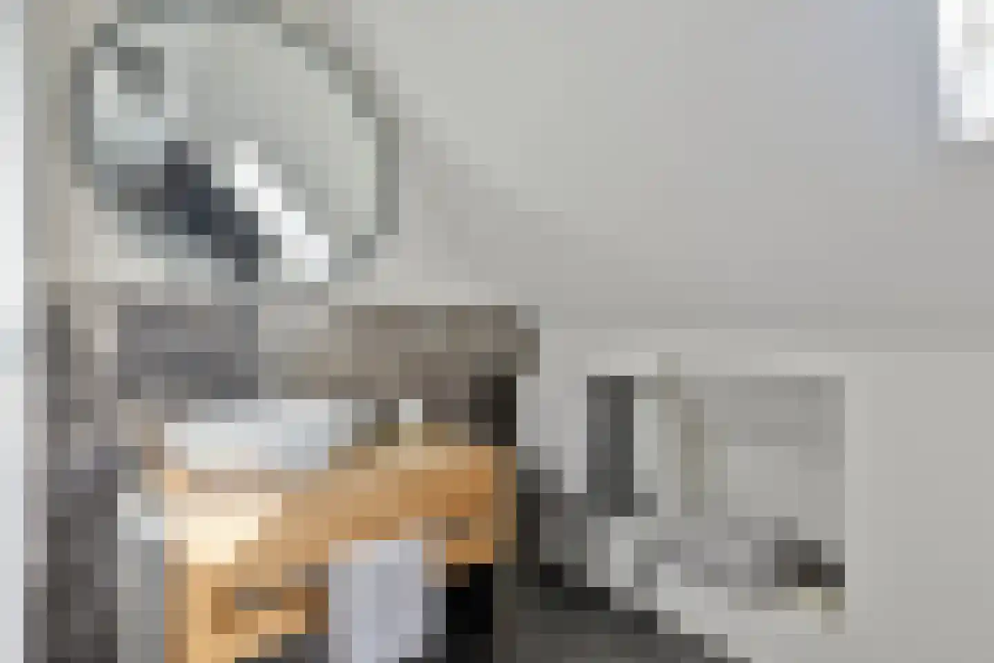 De Hoeven 33 Haarsteeg thumbnail 32
