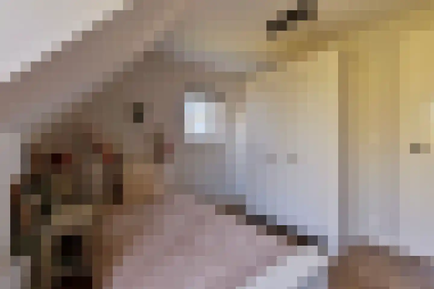 De Hoeven 33 Haarsteeg thumbnail 35