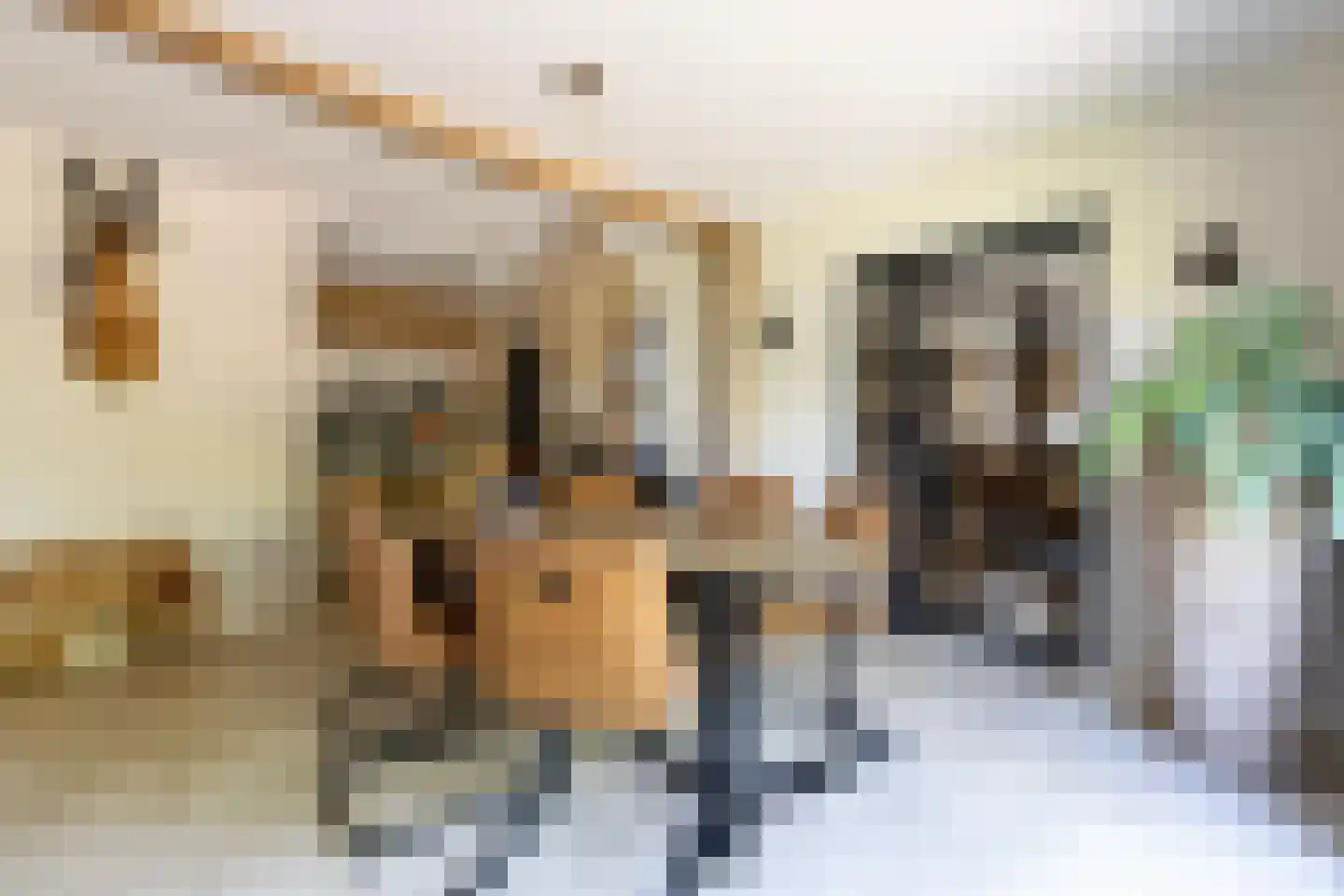 De Hoeven 33 Haarsteeg thumbnail 4