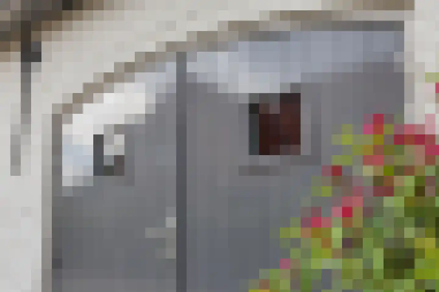 De Hoeven 33 Haarsteeg thumbnail 42