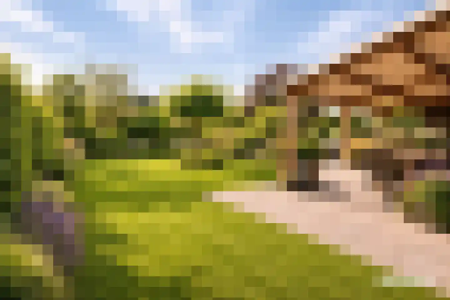 De Hoeven 33 Haarsteeg thumbnail 52