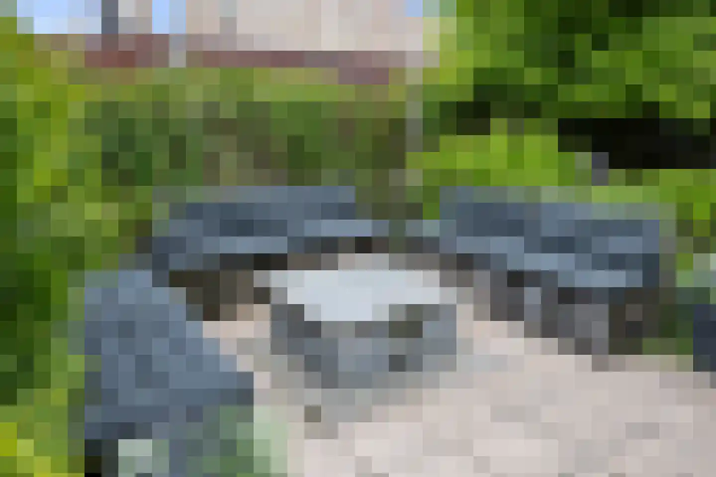 De Hoeven 33 Haarsteeg thumbnail 57