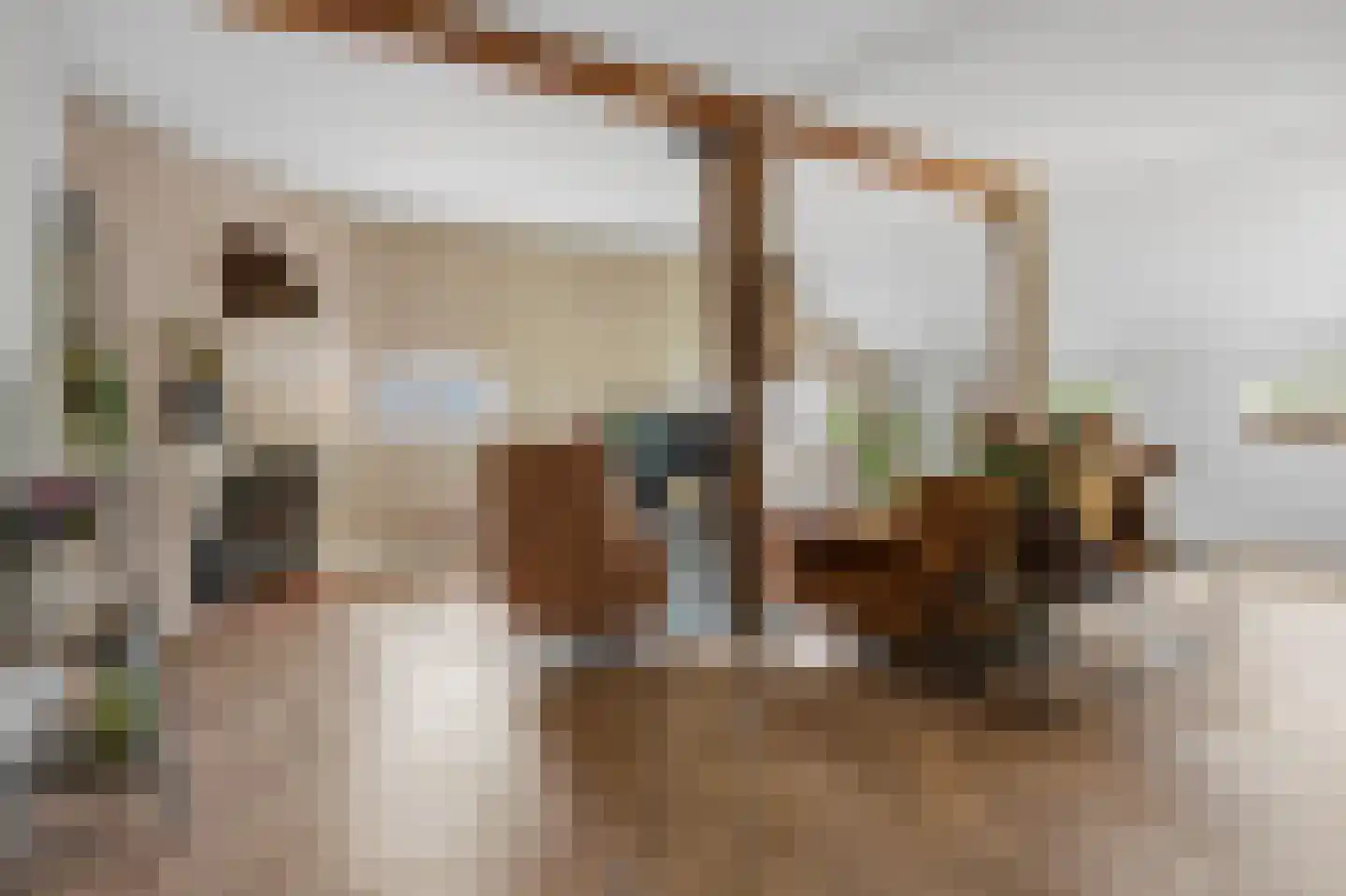 De Hoeven 33 Haarsteeg thumbnail 9