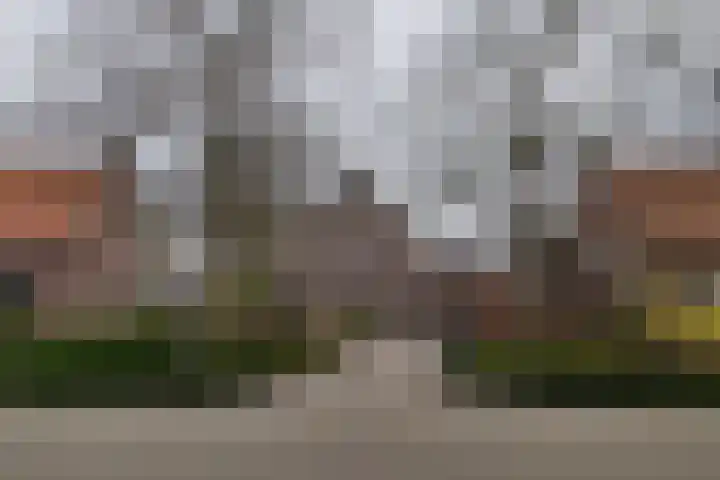 De Hoeven 46 A Haarsteeg