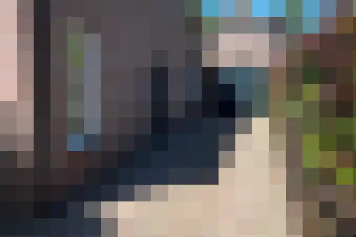 De Hoeven 46 A Haarsteeg thumbnail 24